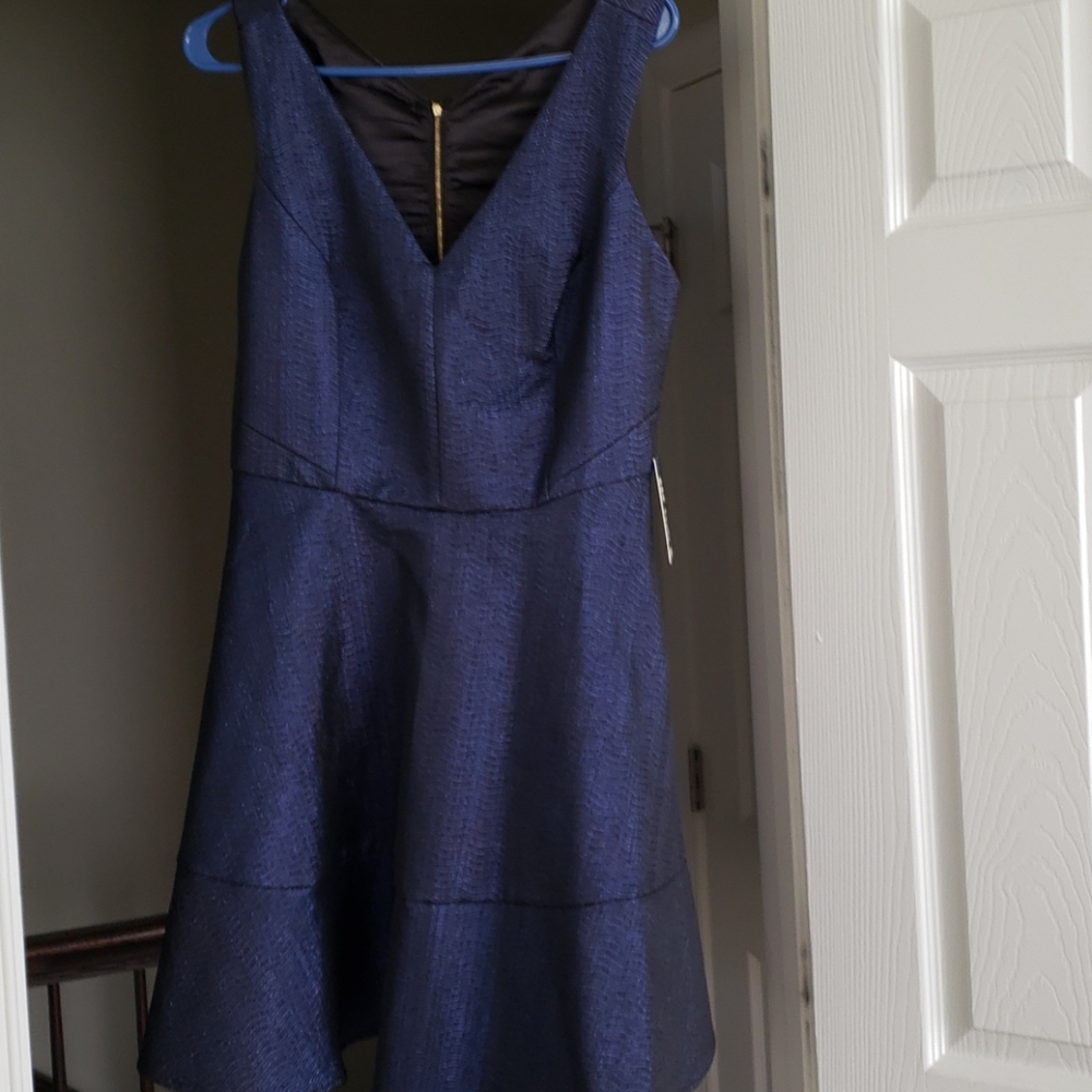 Express Metallic Fit and flare dress